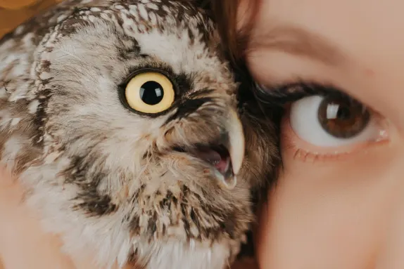 Casino Royal Winner Assistance